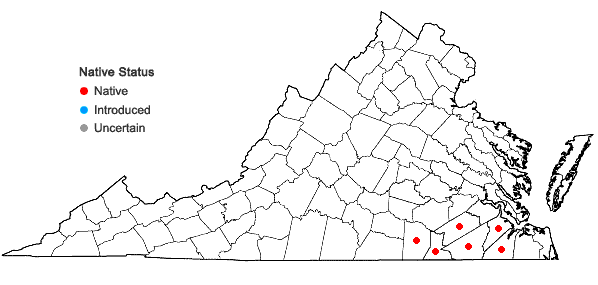 Locations ofCroptilon divaricatum (Nutt.) Raf. in Virginia