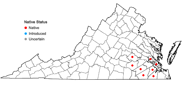 Locations ofCrotalaria purshii DC. in Virginia