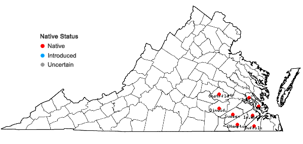 Locations ofCrotalaria purshii DC. in Virginia