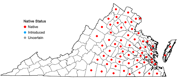 Locations ofCrotalaria sagittalis L. in Virginia
