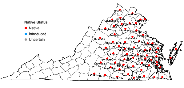 Locations ofCrotalaria sagittalis L. in Virginia