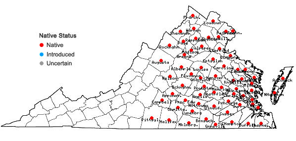 Locations ofCrotalaria sagittalis L. in Virginia