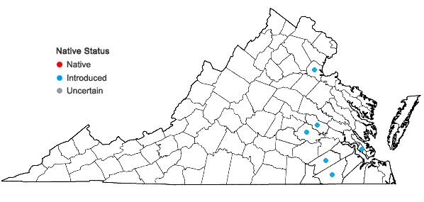 Locations ofCrotalaria spectabilis Roth in Virginia