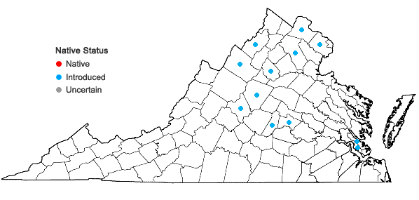 Locations ofCroton capitatus Michx. in Virginia