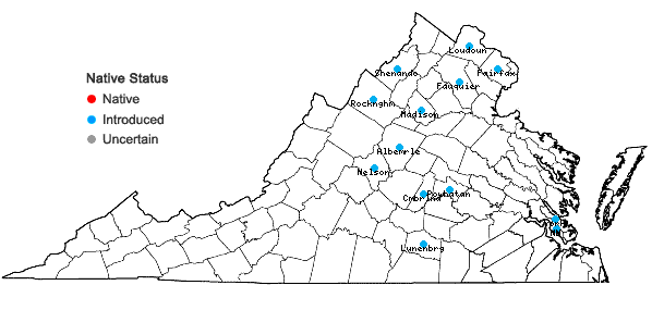 Locations ofCroton capitatus Michx. in Virginia