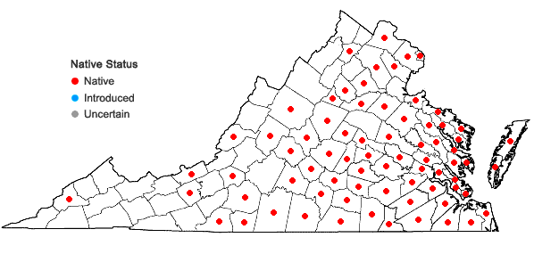 Locations ofCroton glandulosus L. var. septentrionalis Muell.-Arg. in Virginia