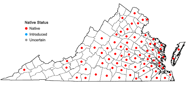Locations ofCroton glandulosus L. var. septentrionalis Muell.-Arg. in Virginia