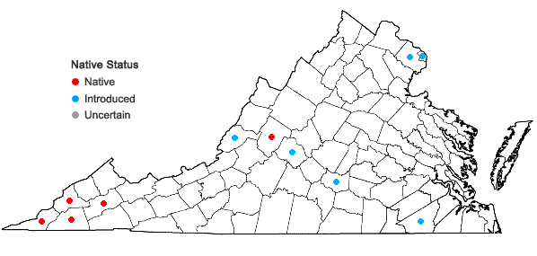 Locations ofCroton monanthogynus Michx. in Virginia