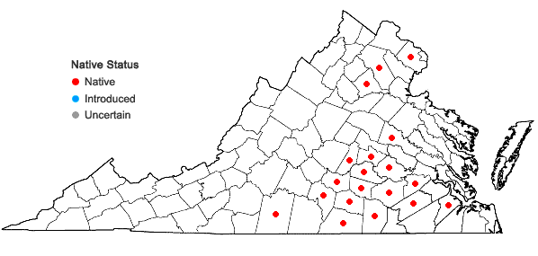 Locations ofCroton willdenowii Webster in Virginia