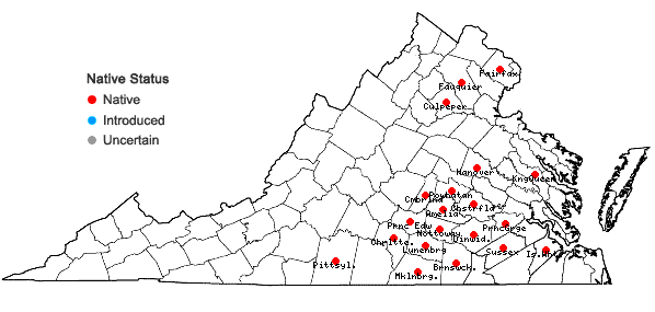 Locations ofCroton willdenowii Webster in Virginia