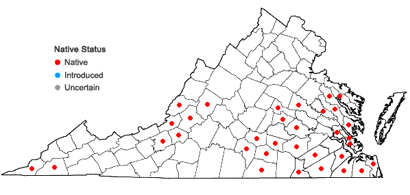 Locations ofCryphaea glomerata Schimp. ex Sull. in Virginia