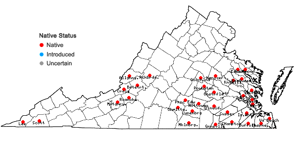 Locations ofCryphaea glomerata Schimp. ex Sull. in Virginia