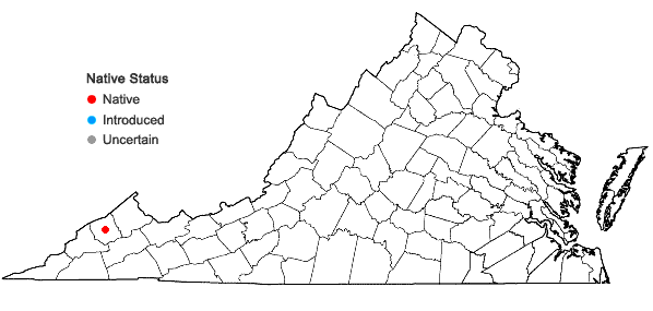 Locations ofCryphaea nervosa (Hook. & Wilson) Müll. Hal. in Virginia