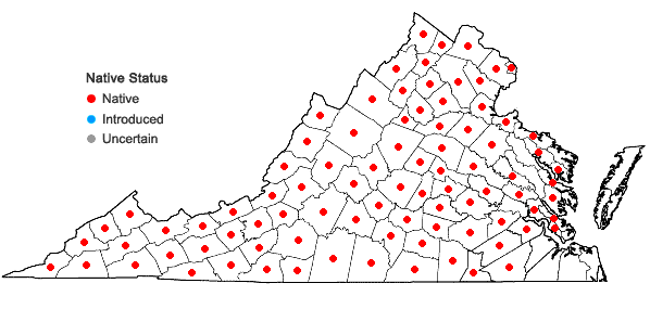 Locations ofCryptotaenia canadensis (L.) DC. in Virginia