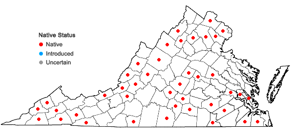 Locations ofCtenidium molluscum (Hedw.) Mitt. in Virginia