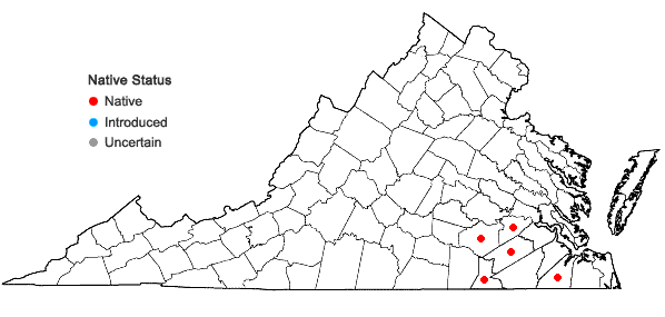 Locations ofCtenium aromaticum (Walt.) Wood in Virginia