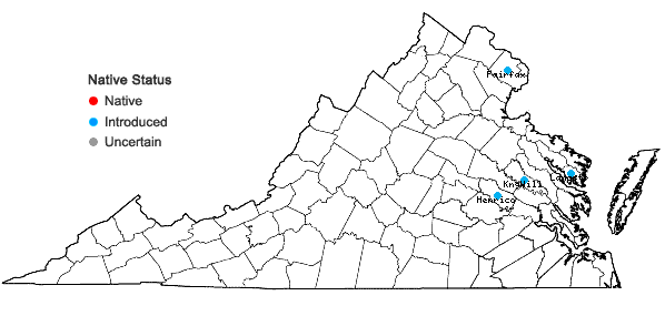 Locations ofCucumis melo L. in Virginia