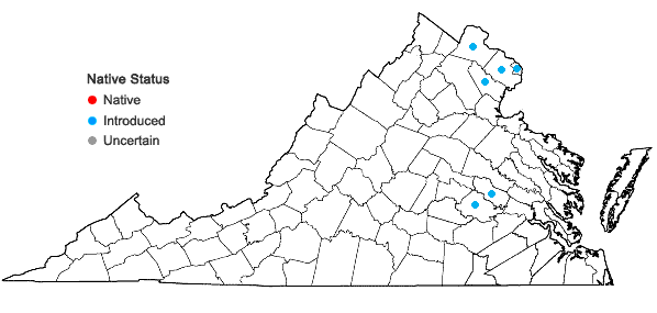 Locations ofCucurbita pepo L. in Virginia