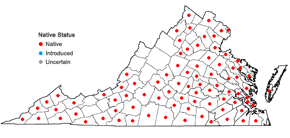Locations ofCuscuta campestris Yuncker in Virginia