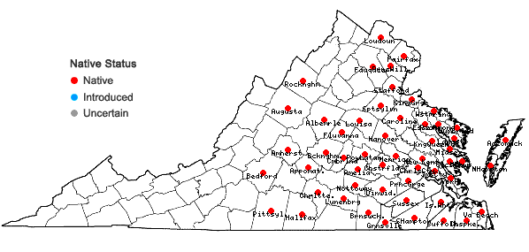 Locations ofCuscuta compacta Jussieu ex Choisy in Virginia