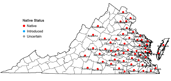 Locations ofCuscuta compacta Jussieu ex Choisy in Virginia