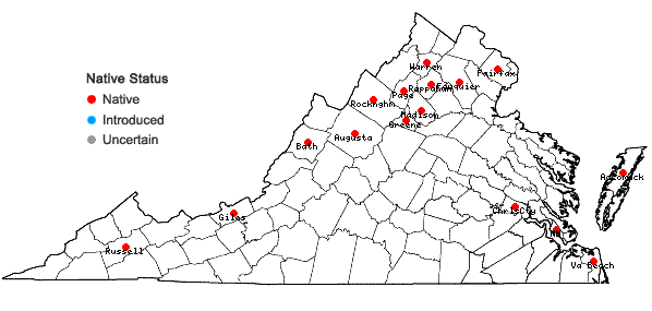 Locations ofCuscuta coryli Engelm. in Virginia