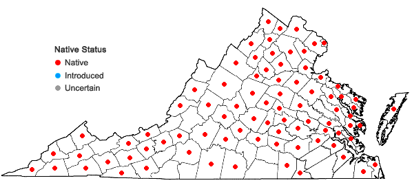 Locations ofCuscuta gronovii Willd. ex Roem. & Schult. in Virginia