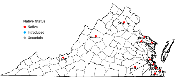 Locations ofCuscuta indecora Choisy var. indecora in Virginia