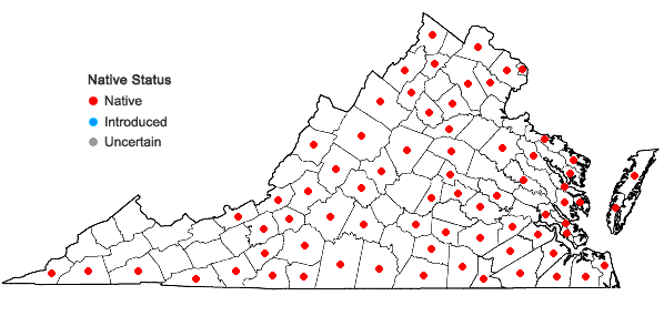 Locations ofCuscuta pentagona Engelm. in Virginia