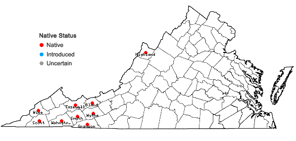 Locations ofCymophyllus fraserianus (Ker-Gawler) Kartesz & Gandhi in Virginia