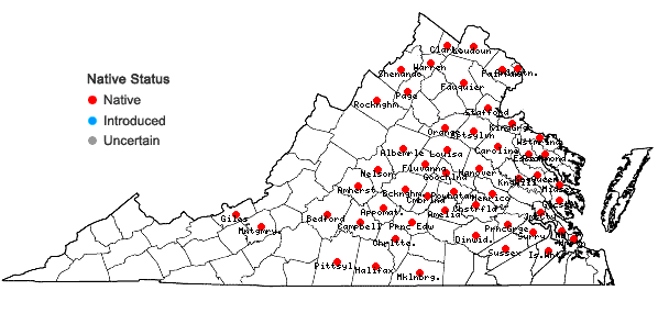 Locations ofCynanchum laeve (Michx.) Pers. in Virginia