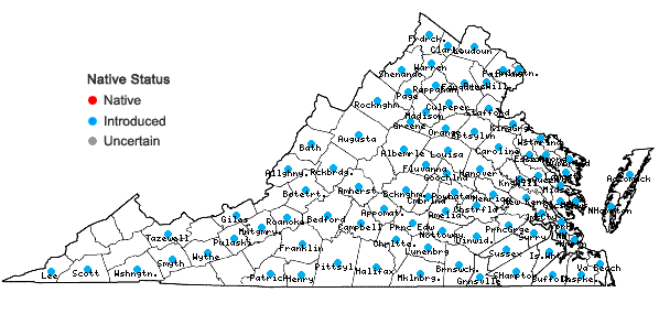 Locations ofCynodon dactylon (L.) Pers. in Virginia