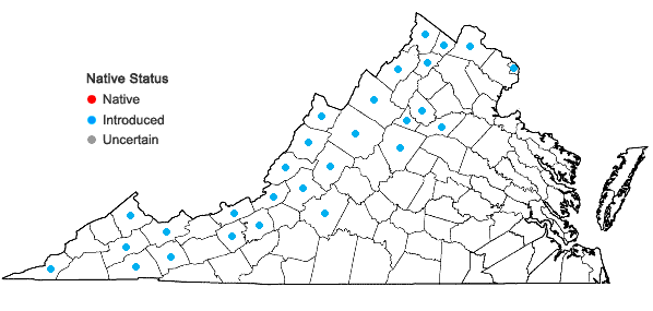 Locations ofCynoglossum officinale L. in Virginia