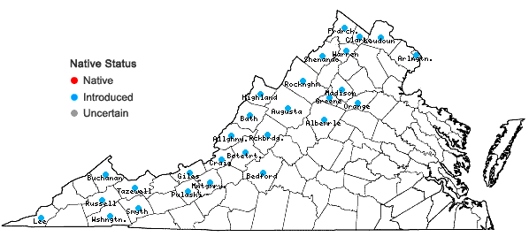 Locations ofCynoglossum officinale L. in Virginia