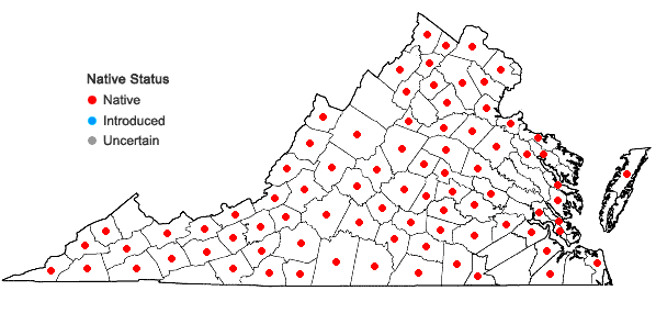 Locations ofCynoglossum virginianum L. var. virginianum in Virginia