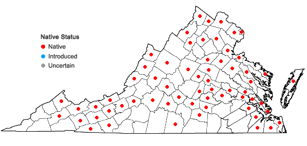 Locations ofCyperus bipartitus Torrey in Virginia