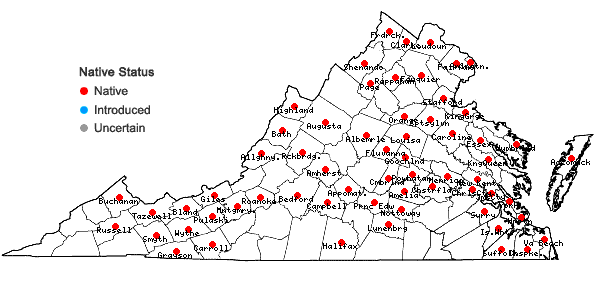 Locations ofCyperus bipartitus Torrey in Virginia