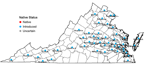 Locations ofCyperus brevifolioides Thieret & Delahoussaye in Virginia