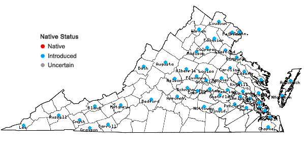 Locations ofCyperus brevifolioides Thieret & Delahoussaye in Virginia