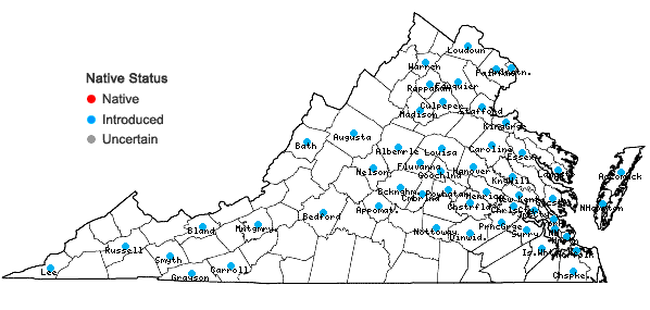 Locations ofCyperus brevifolioides Thieret & Delahoussaye in Virginia