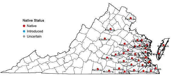 Locations ofCyperus compressus L. in Virginia
