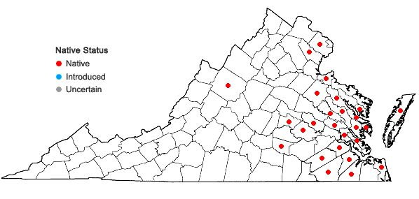 Locations ofCyperus croceus Vahl in Virginia