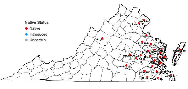 Locations ofCyperus croceus Vahl in Virginia