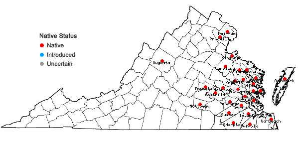 Locations ofCyperus croceus Vahl in Virginia
