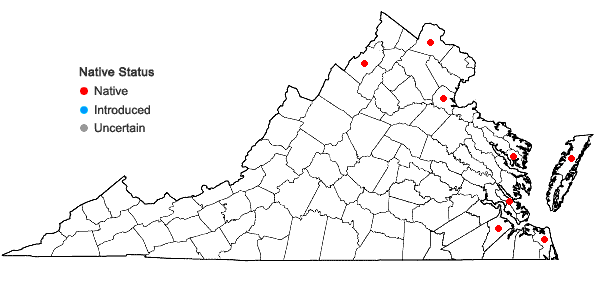 Locations ofCyperus diandrus Torrey in Virginia