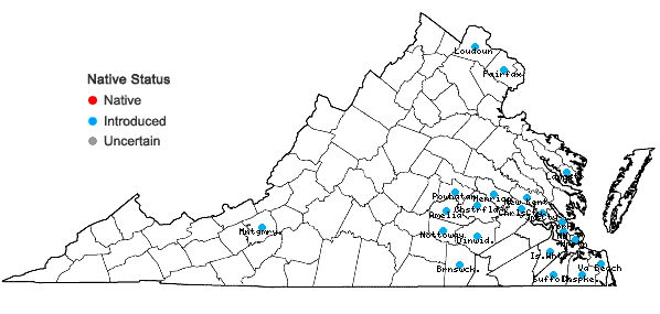 Locations ofCyperus difformis L. in Virginia