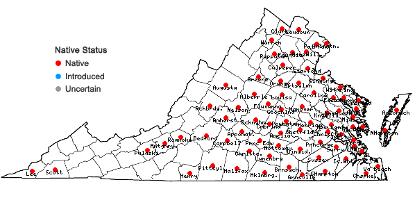 Locations ofCyperus echinatus (L.) Wood in Virginia