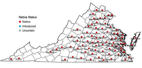 Locations ofCyperus echinatus (L.) Wood in Virginia
