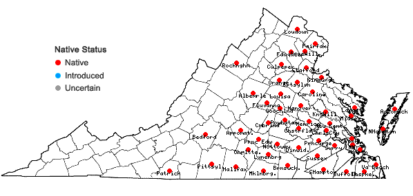 Locations ofCyperus erythrorhizos Muhlenberg in Virginia