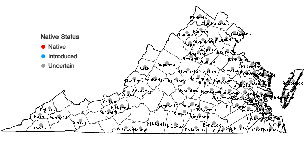 Locations ofCyperus esculentus L. var. leptostachyus Böckler in Virginia